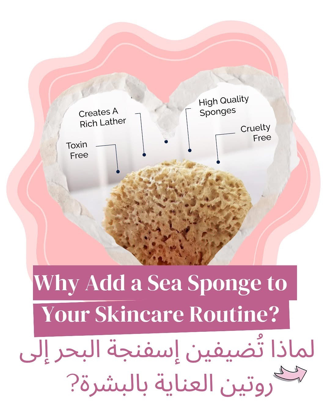 Beauty Potion Natural Sea Sponge - Other