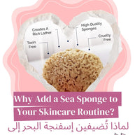 Beauty Potion Natural Sea Sponge - Other