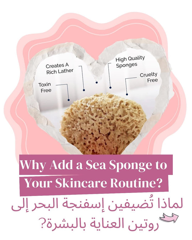 Beauty Potion Natural Sea Sponge - Other