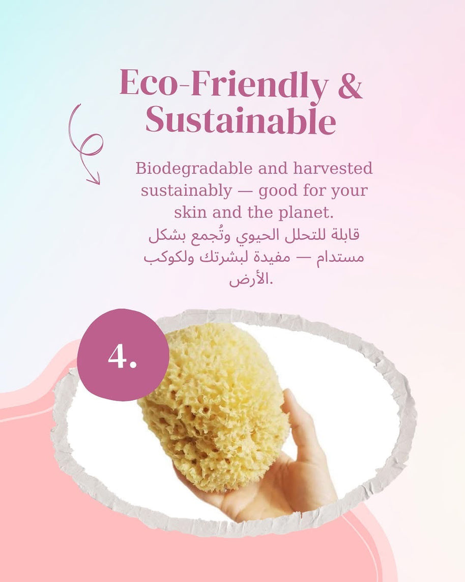Beauty Potion Natural Sea Sponge