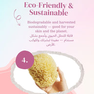 Beauty Potion Natural Sea Sponge