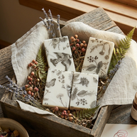 Elara soap collection