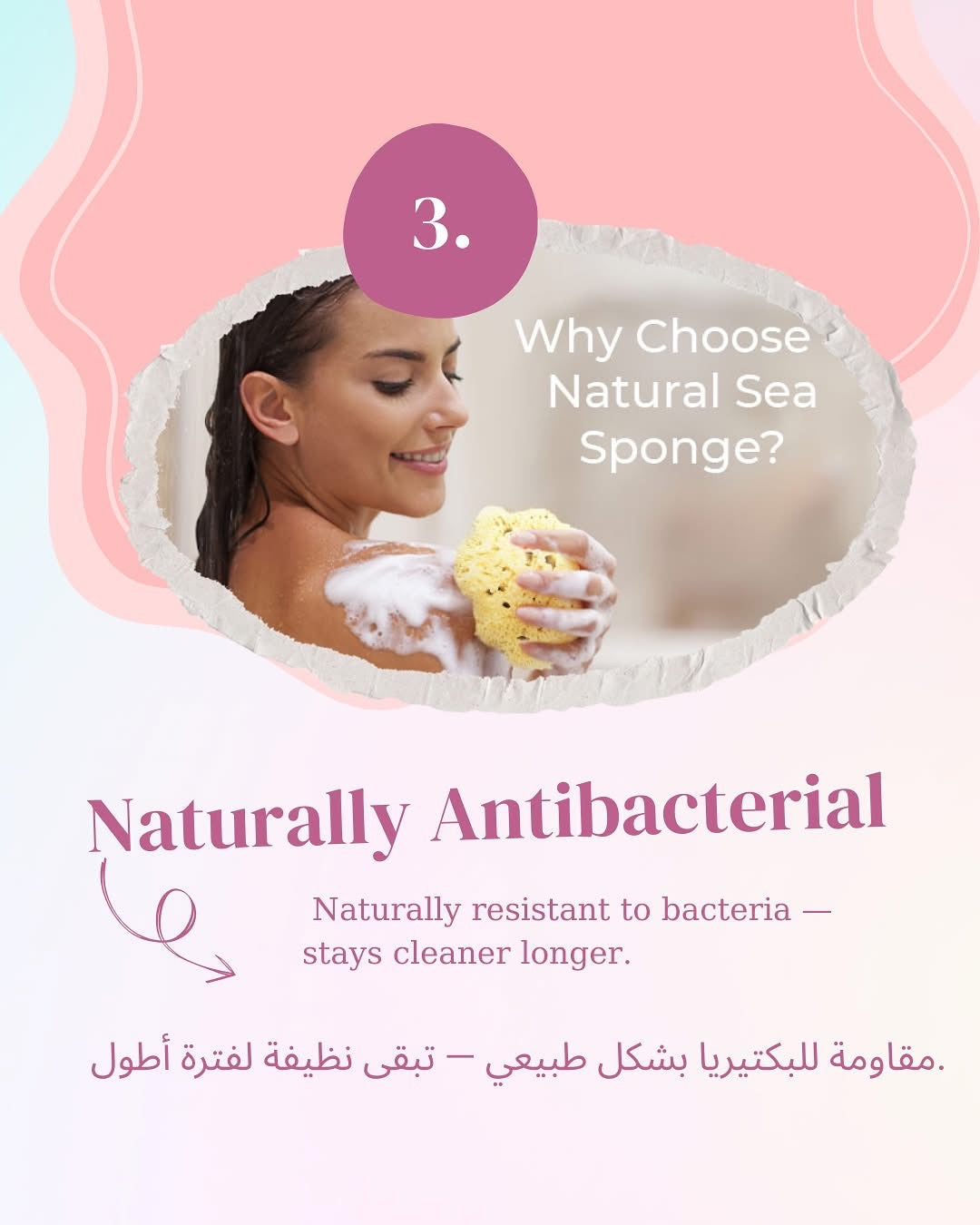 Beauty Potion Natural Sea Sponge