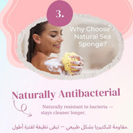 Beauty Potion Natural Sea Sponge