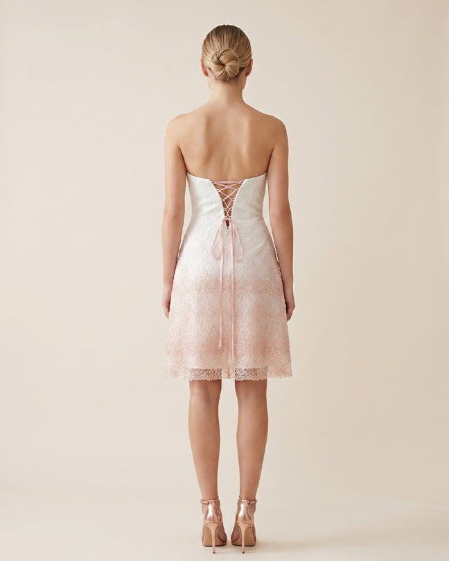 Rafelli Strapless Ombré Lace Midi Dress