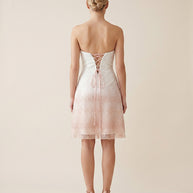 Rafelli Strapless Ombré Lace Midi Dress