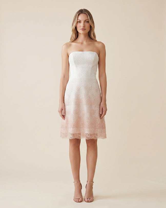 Rafelli Strapless Ombré Lace Midi Dress