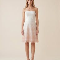 Rafelli Strapless Ombré Lace Midi Dress