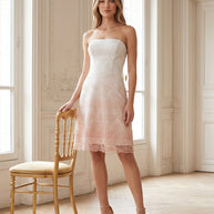 Rafelli Strapless Ombré Lace Midi Dress