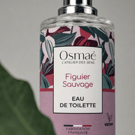 Osmaé Figuier Sauvage Eau de Toilette